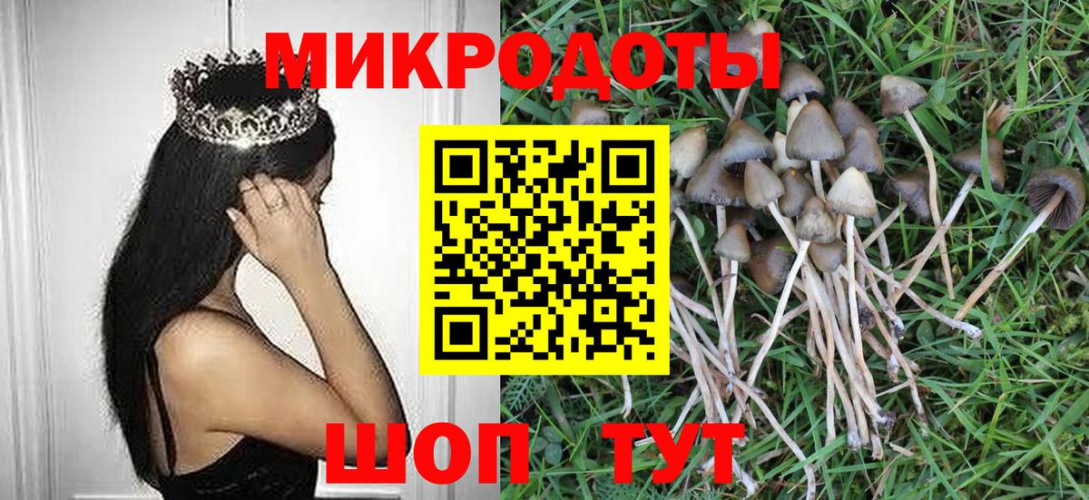 Галлюциногенные грибы MAGIC MUSHROOMS Петрозаводск