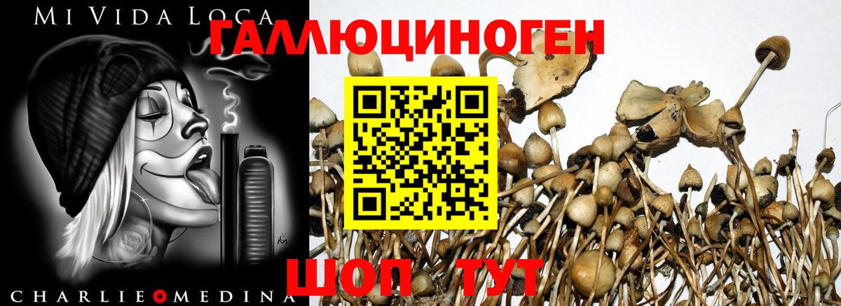 Галлюциногенные грибы мицелий  Вход с VPN  Галлюциногенные грибы мицелий  Петрозаводск 