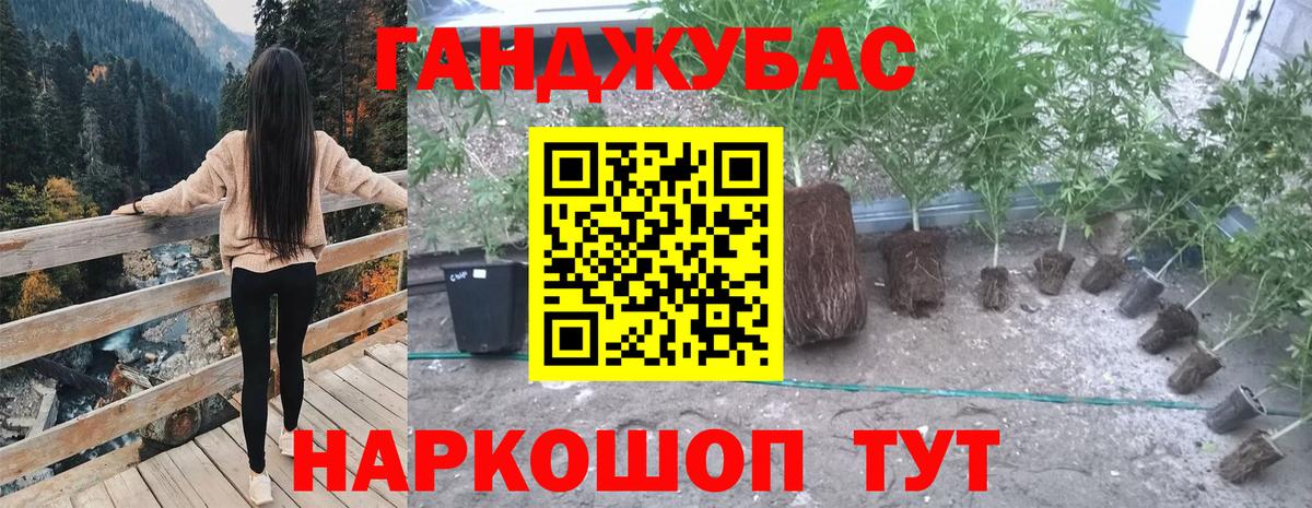 Петрозаводск  Марихуана индика  Вход с VPN  МАРИХУАНА VHQ 